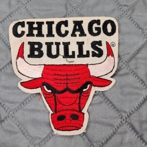Vintage 90s Chicago Bulls Embroidered Patch NBA Jordan Era 5"